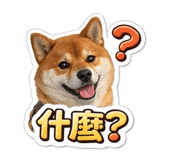 844686376