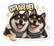 844686381