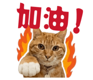844686672