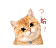844687013