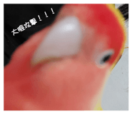 844687106
