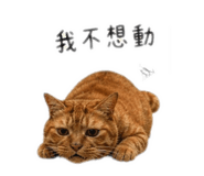 844687659