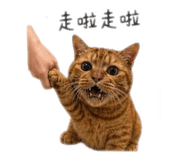 844687668
