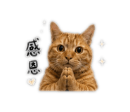 844687678