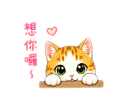 844687854