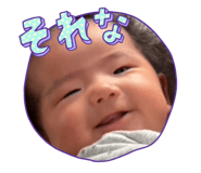 844688555