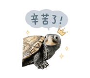 844688659