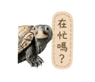 844688664