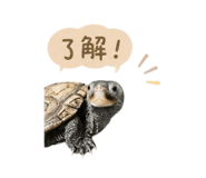 844688668