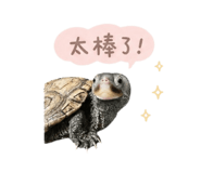 844688669