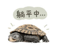 844688673