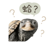 844688675