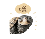 844688676