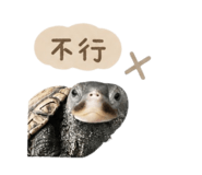 844688677