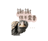 844688684