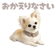 844689181