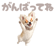 844689185