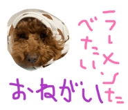 844689419