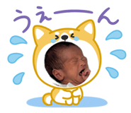 844689447