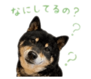 844689490