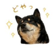 844689501
