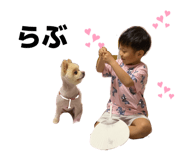844689620