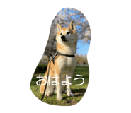 844689858