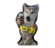 844689859