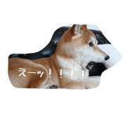 844689860