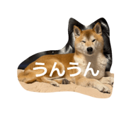 844689862