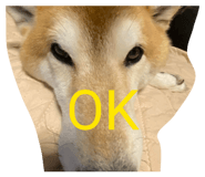 844689863