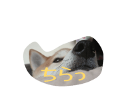 844689866