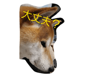 844689867