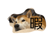 844689868