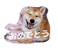 844689870