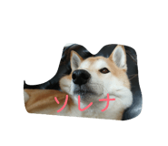 844689874