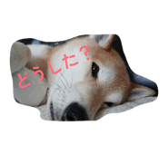 844689875