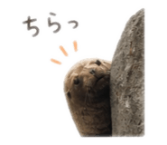 844689920