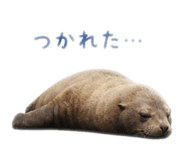 844689923