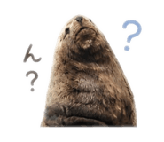 844689924