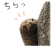 844689936