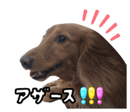 844689952