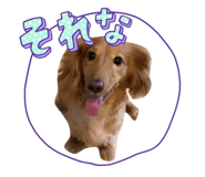 844689955