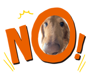 844689957