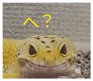 844690236
