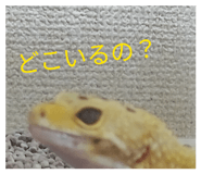 844690250