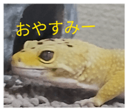 844690252