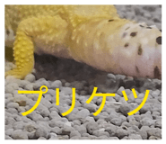844690253