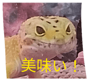 844690255