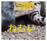 844690256